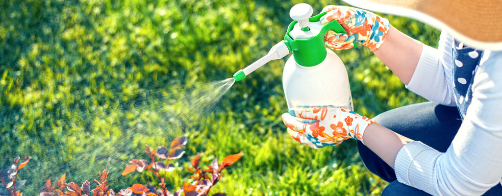 Insect Control - Mickman Brothers, Inc.